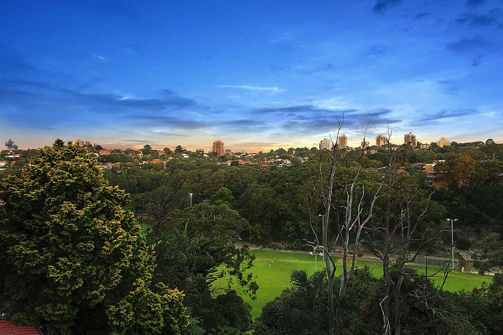 7 Churchill Crescent, Cammeray - Thumbnail 4