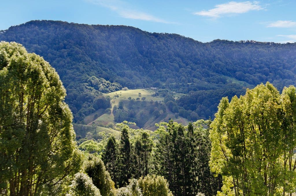 10 Kianga Court, CURRUMBIN VALLEY QLD 4223, Currumbin Valley - Thumbnail 2