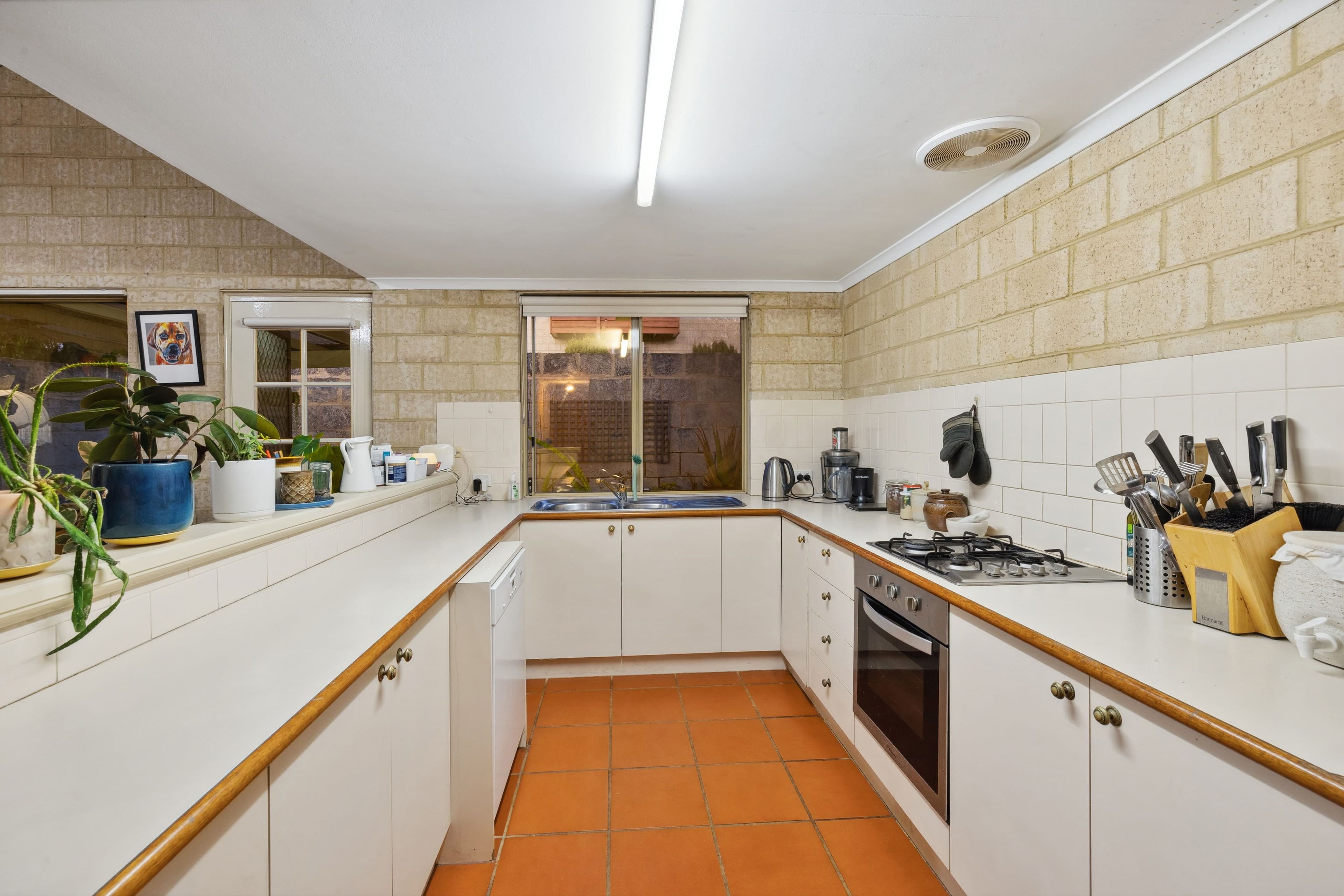 449A Hector Street, Yokine WA 6060, Yokine - Thumbnail 6
