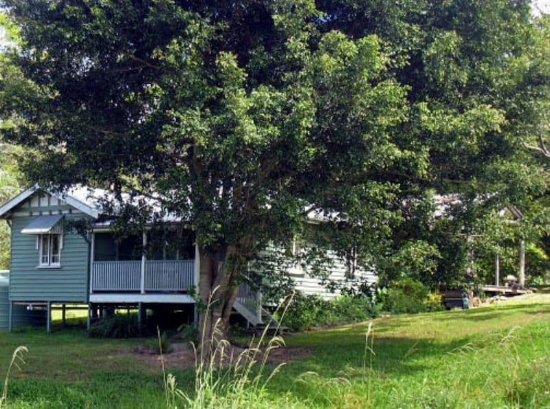 65 Masseys Creek Court, CEDAR CREEK QLD 4520, Cedar Creek - Image 1