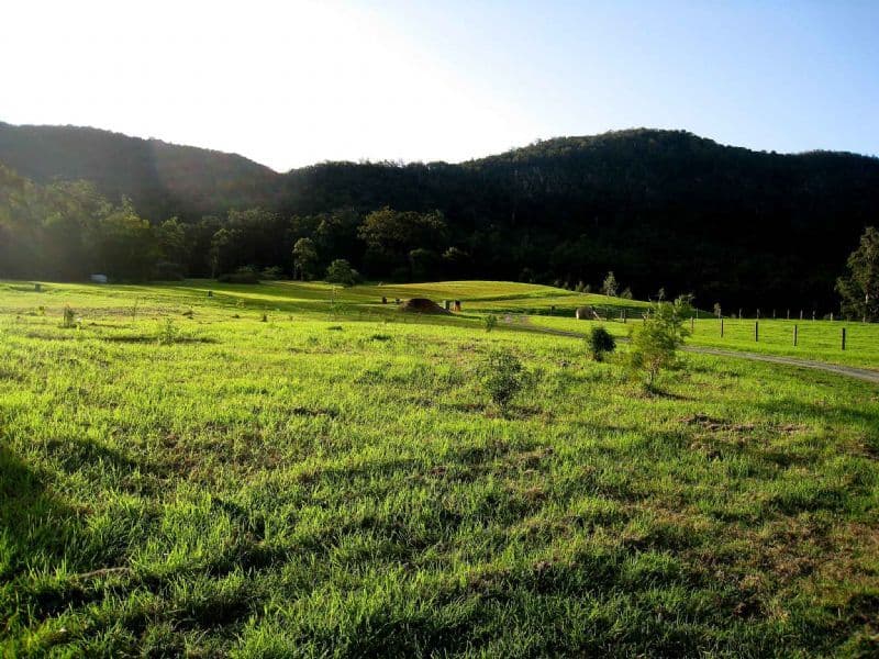 65 Masseys Creek Court, CEDAR CREEK QLD 4520, Cedar Creek - Thumbnail 3