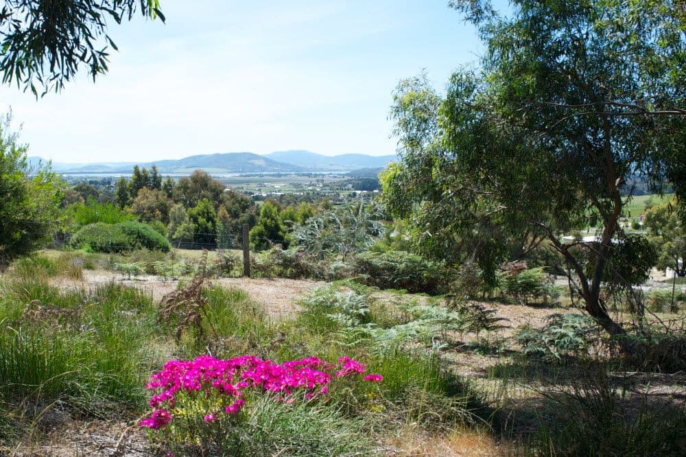177 Axiom Way, Acton Park TAS 7170, Acton Park - Image 1