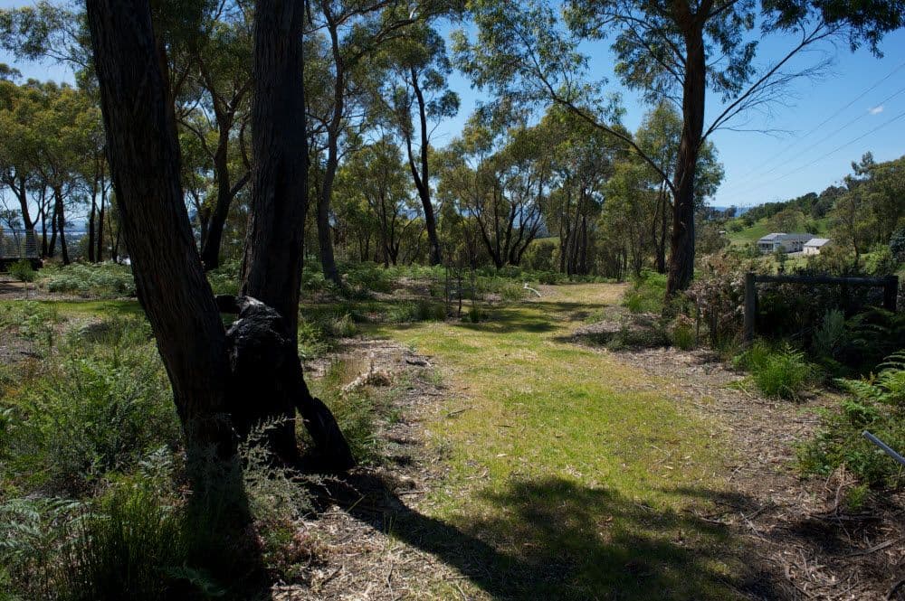 177 Axiom Way, Acton Park TAS 7170, Acton Park - Thumbnail 4