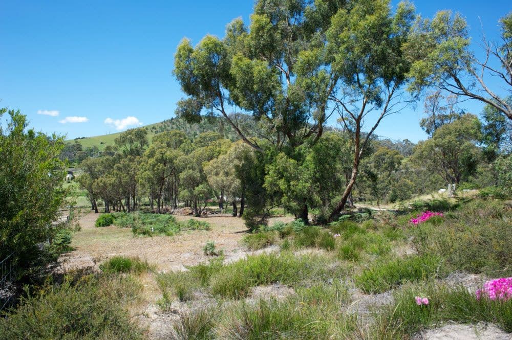 177 Axiom Way, Acton Park TAS 7170, Acton Park - Thumbnail 6