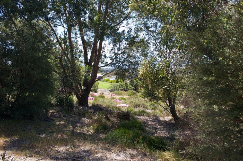 177 Axiom Way, Acton Park TAS 7170, Acton Park - Thumbnail 7