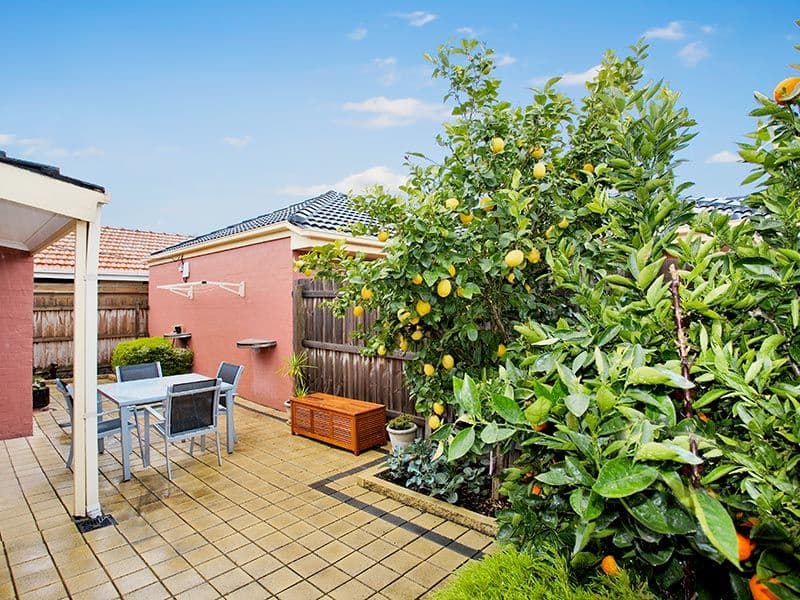 381 Blackburn Road, BURWOOD EAST VIC 3151, Burwood East - Thumbnail 5