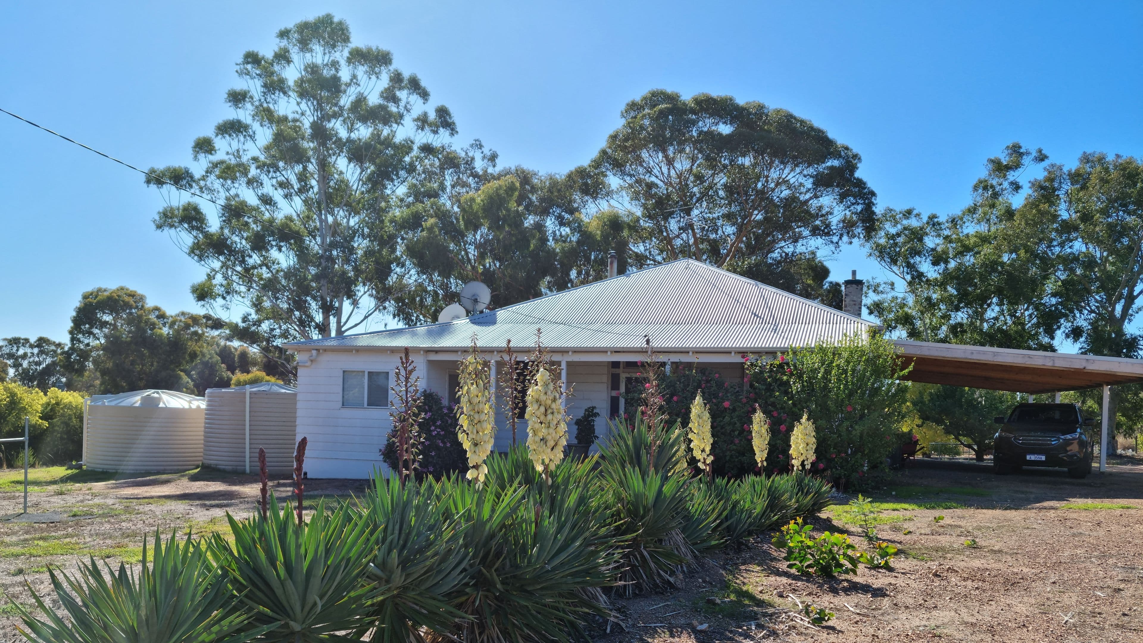 6 Station Street, Muradup WA 6394, Muradup - Thumbnail 3