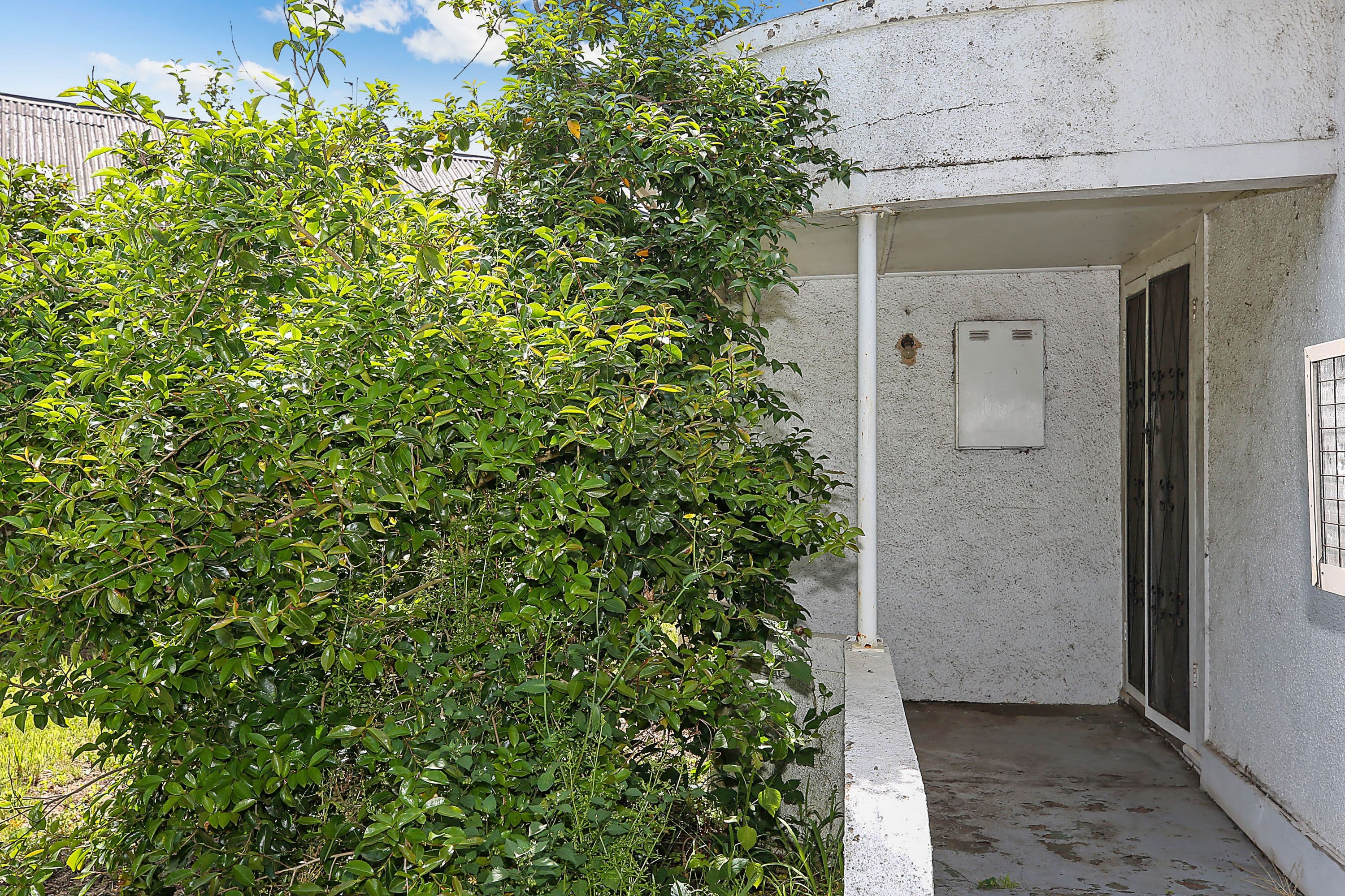 27 High Street, Terang VIC 3264, Terang - Thumbnail 3