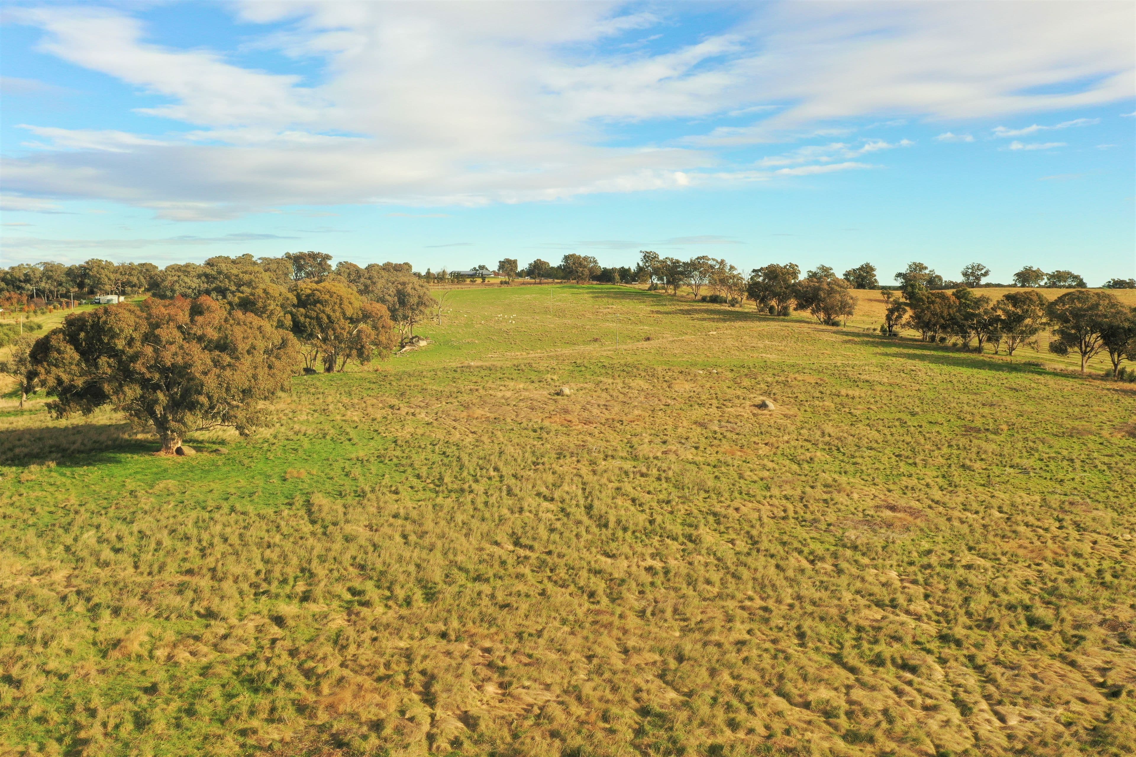 "Nyari", Wickham Lane, Young NSW 2594, Young - Image 1