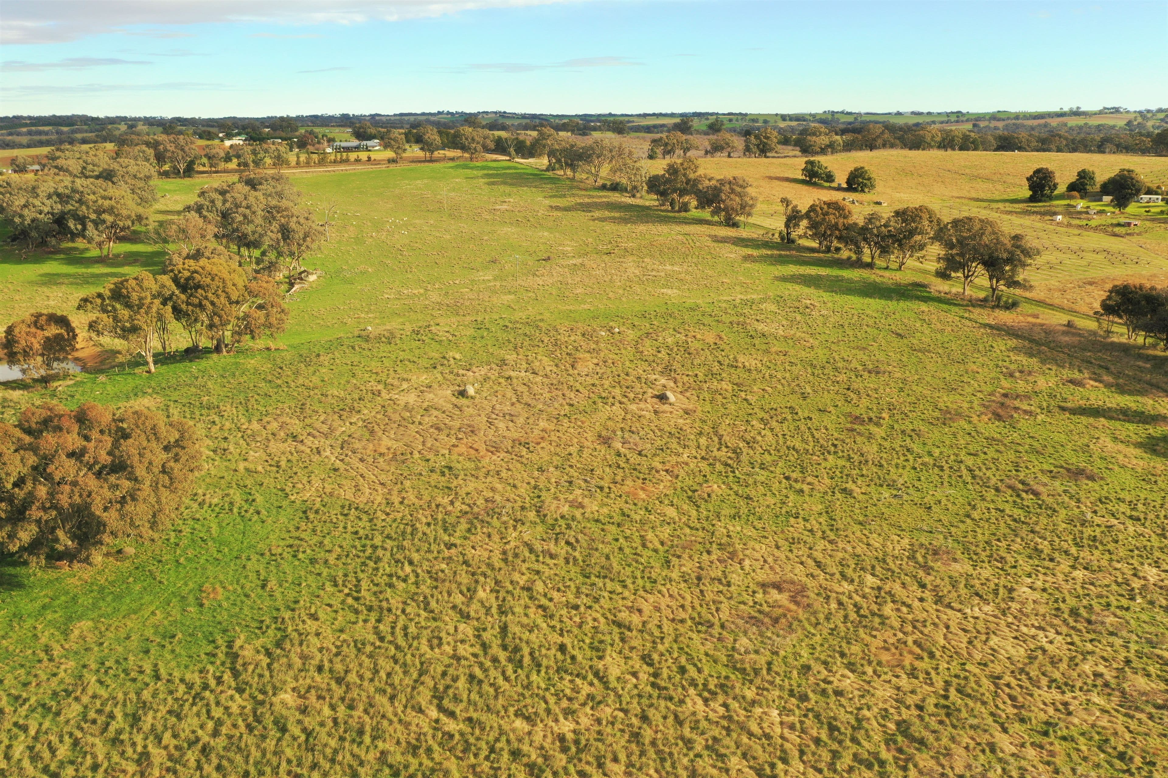"Nyari", Wickham Lane, Young NSW 2594, Young - Thumbnail 2