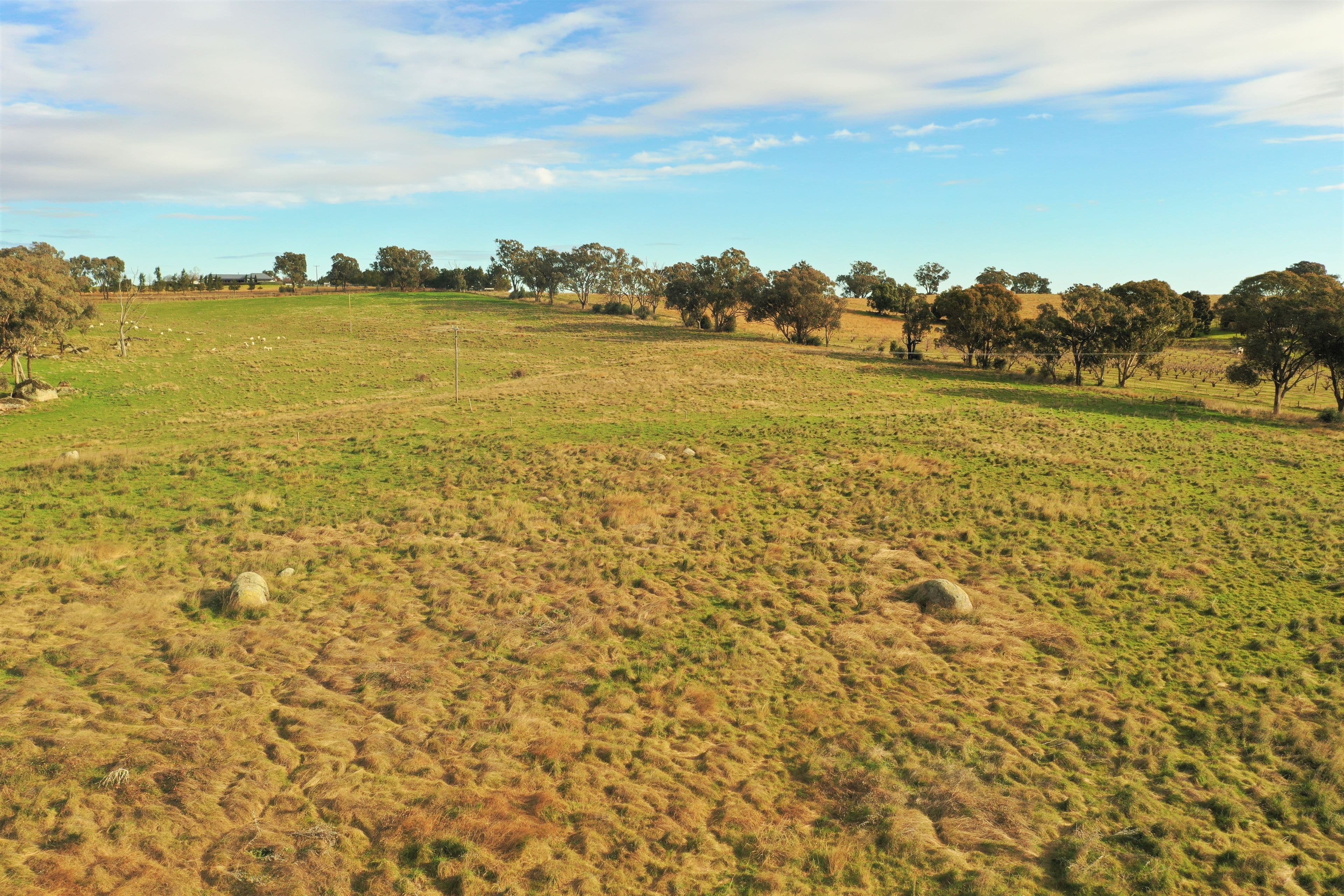 "Nyari", Wickham Lane, Young NSW 2594, Young - Thumbnail 3