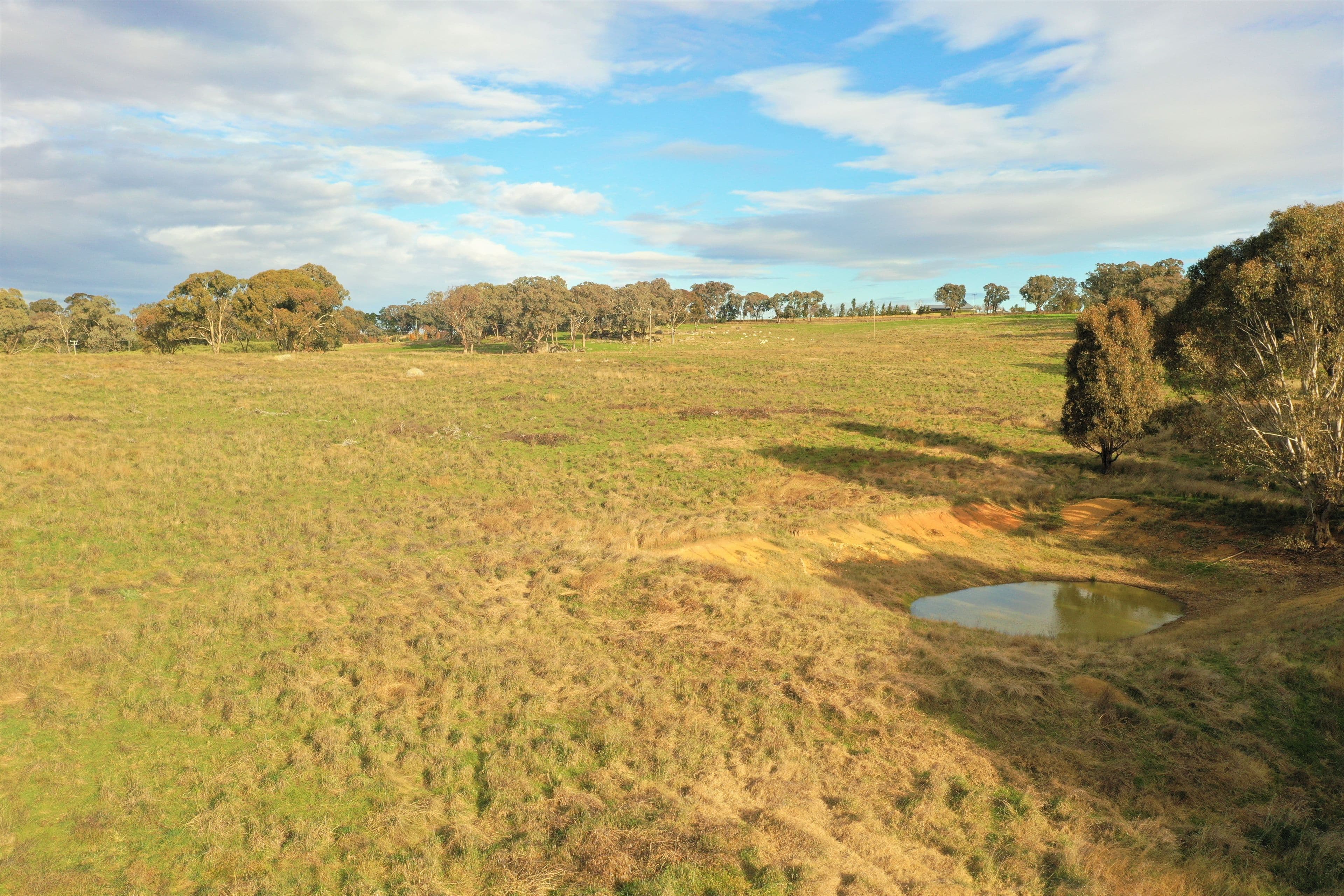 "Nyari", Wickham Lane, Young NSW 2594, Young - Thumbnail 4