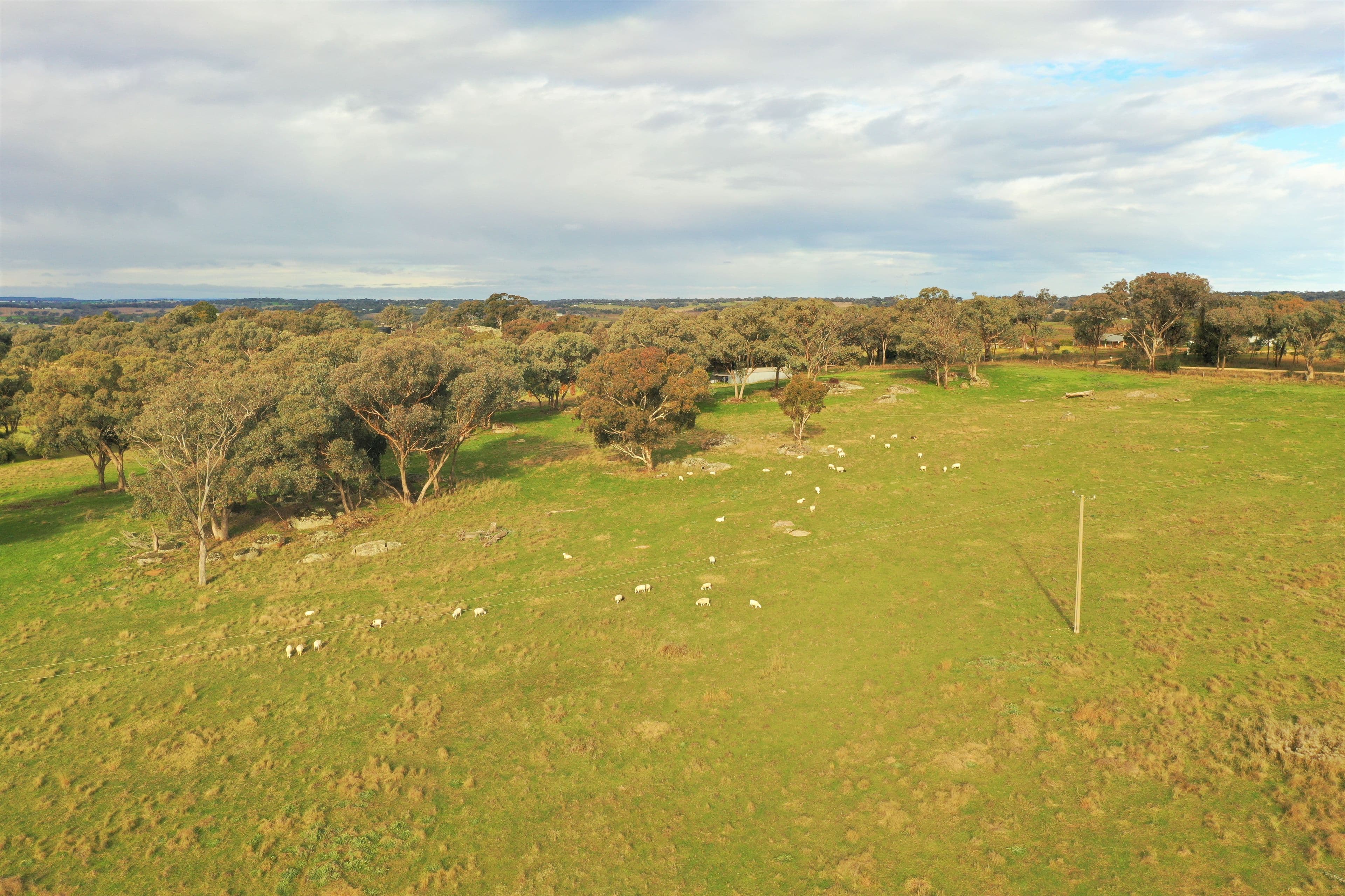 "Nyari", Wickham Lane, Young NSW 2594, Young - Thumbnail 5