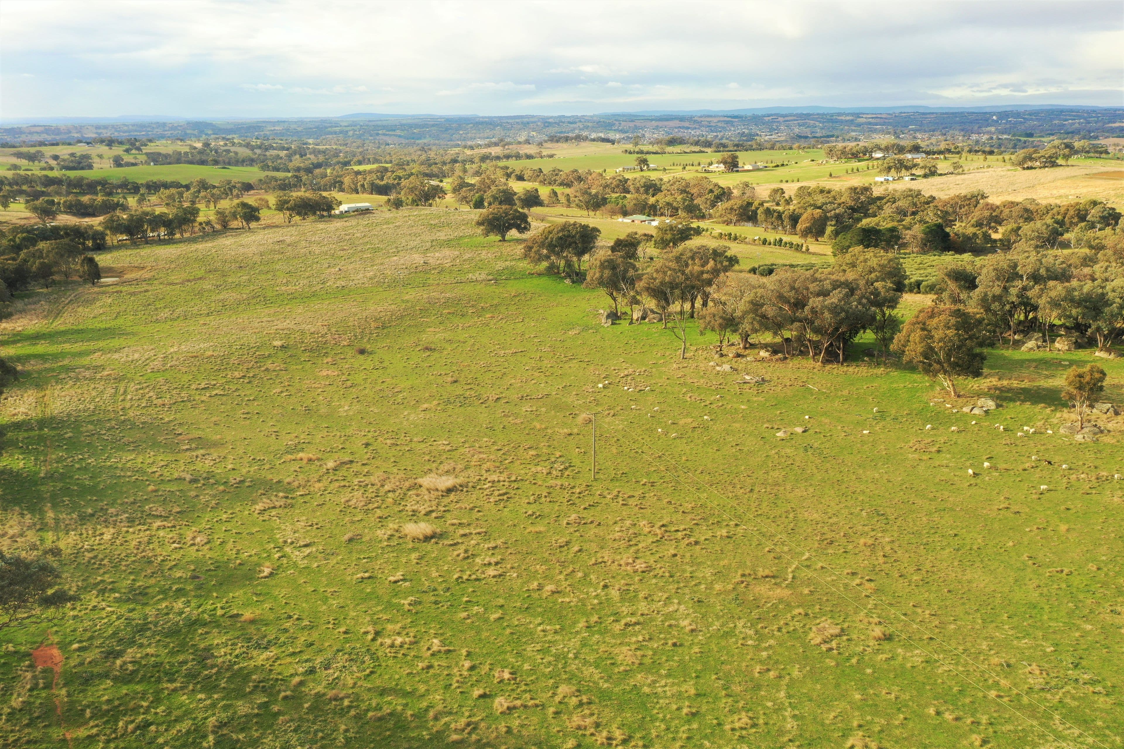 "Nyari", Wickham Lane, Young NSW 2594, Young - Thumbnail 7