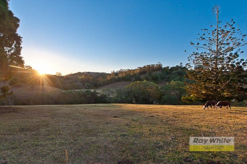 43 Dobson Road, CLEAR MOUNTAIN QLD 4500, Clear Mountain - Thumbnail 4