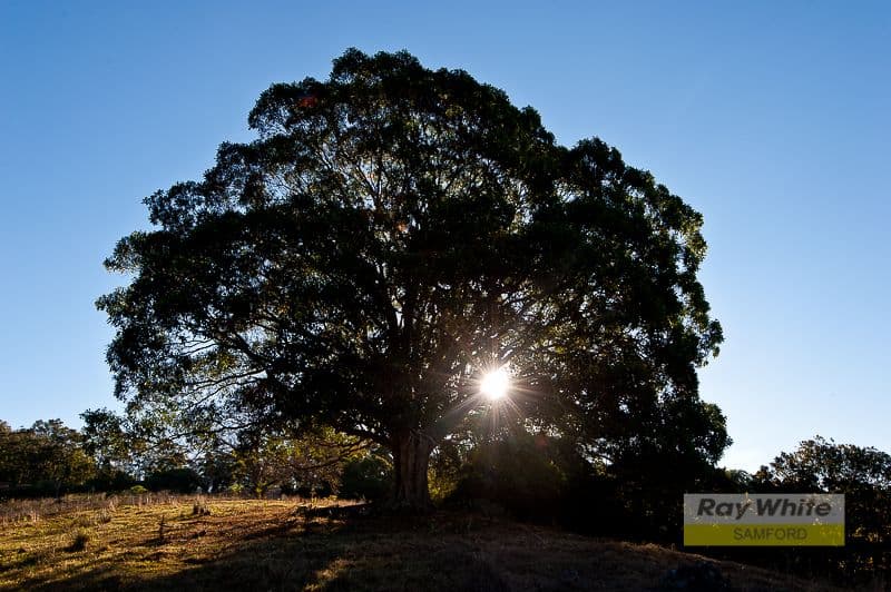 43 Dobson Road, CLEAR MOUNTAIN QLD 4500, Clear Mountain - Thumbnail 8