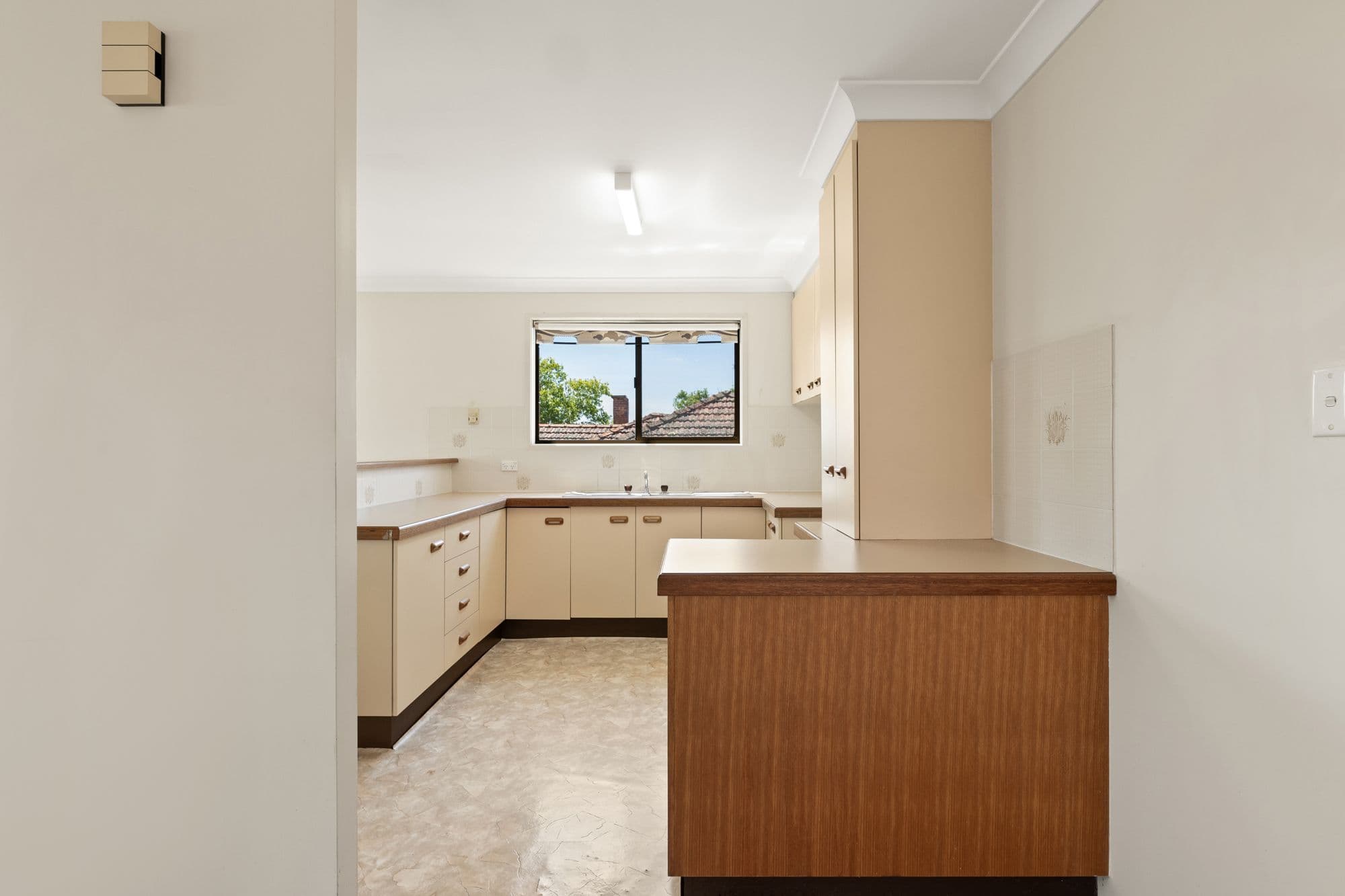 58 Disraeli Street, Indooroopilly QLD 4068, Indooroopilly - Thumbnail 5