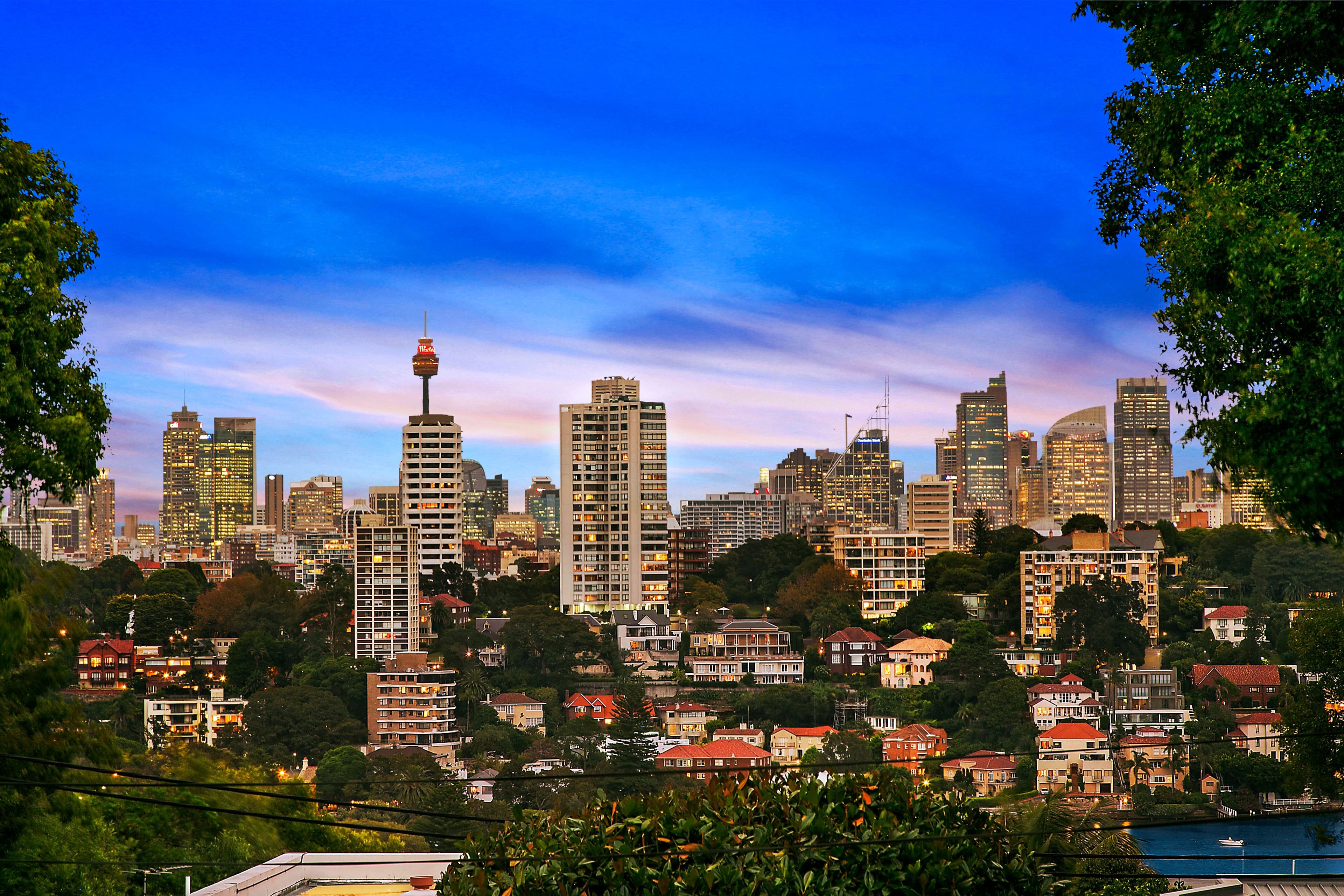 45 Fairfax Road, Bellevue Hill - Thumbnail 8
