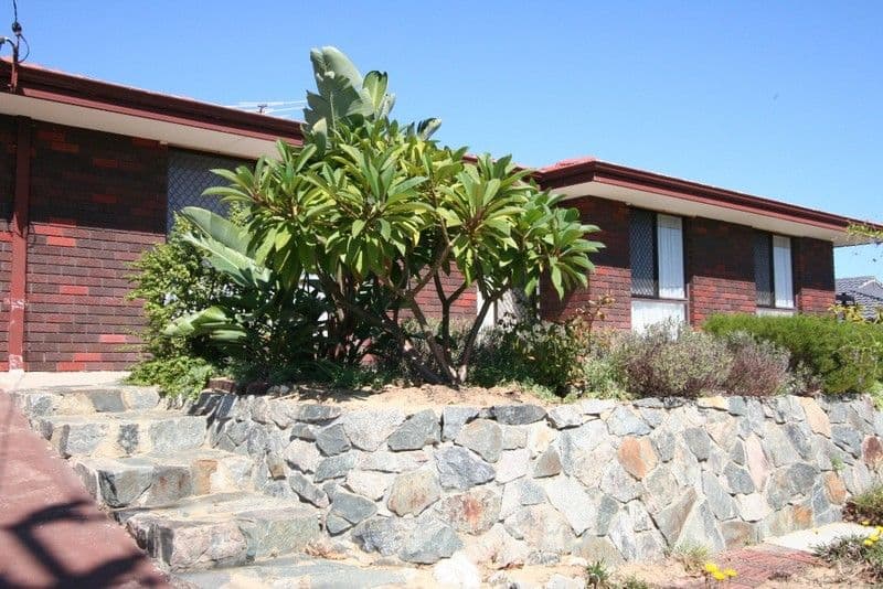 311 Camberrwarra Drive, CRAIGIE WA 6025, Craigie - Thumbnail 6