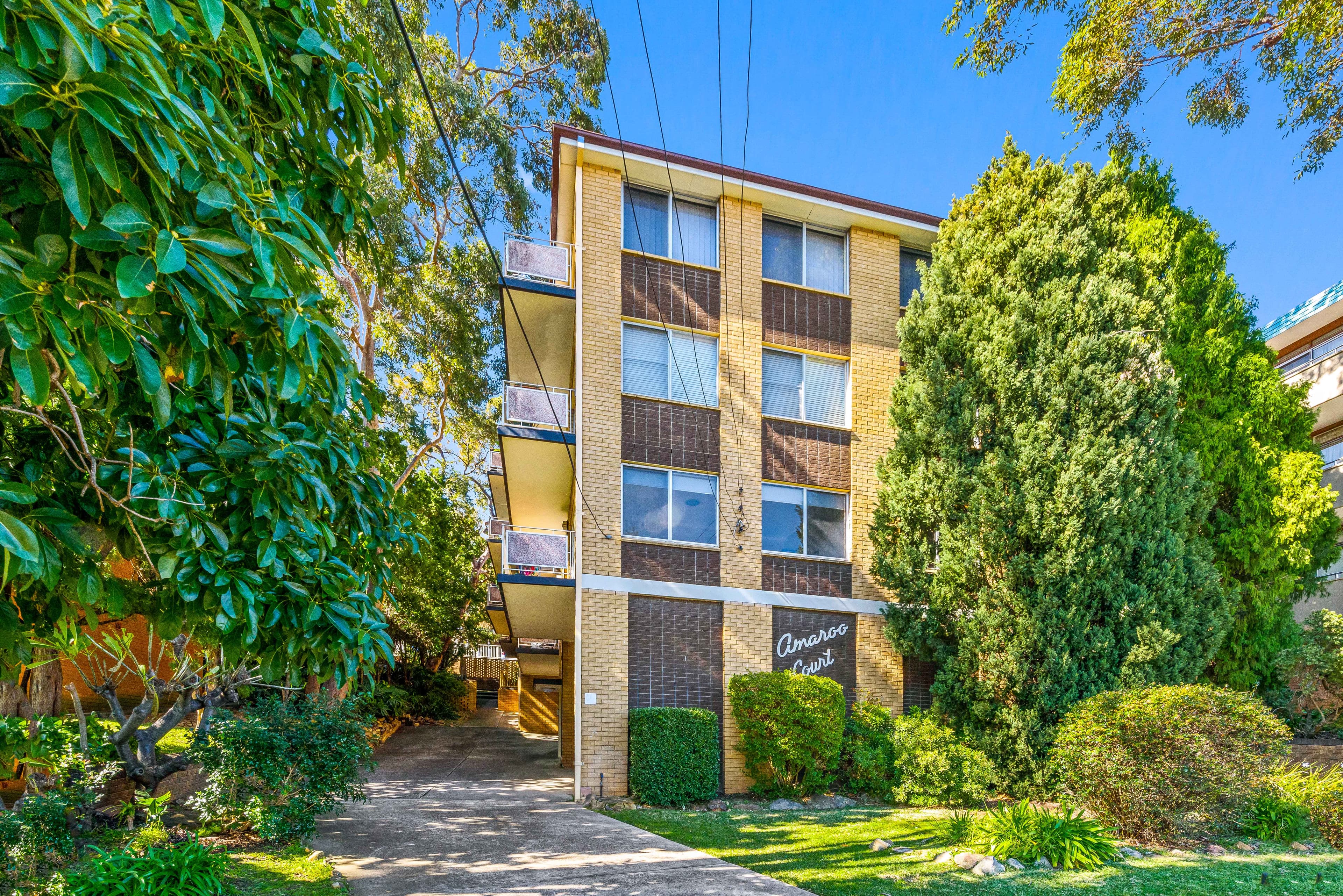 14 Belmore Street, Ryde NSW 2112, Ryde - Thumbnail 2
