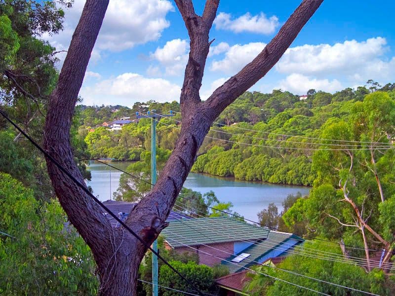 61 Ingrid Road, KAREELA NSW 2232, Kareela - Image 1