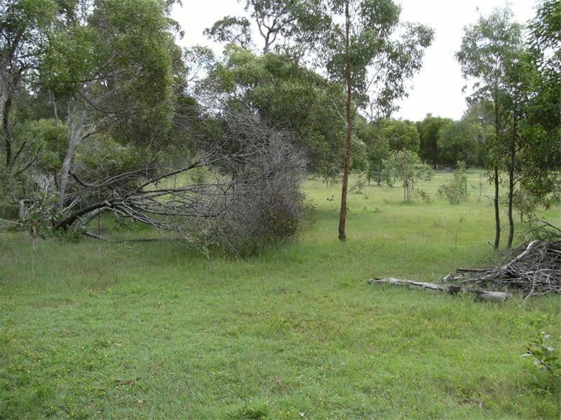 69 Beelbi Creek Road, BEELBI CREEK QLD 4659, Beelbi Creek - Thumbnail 8