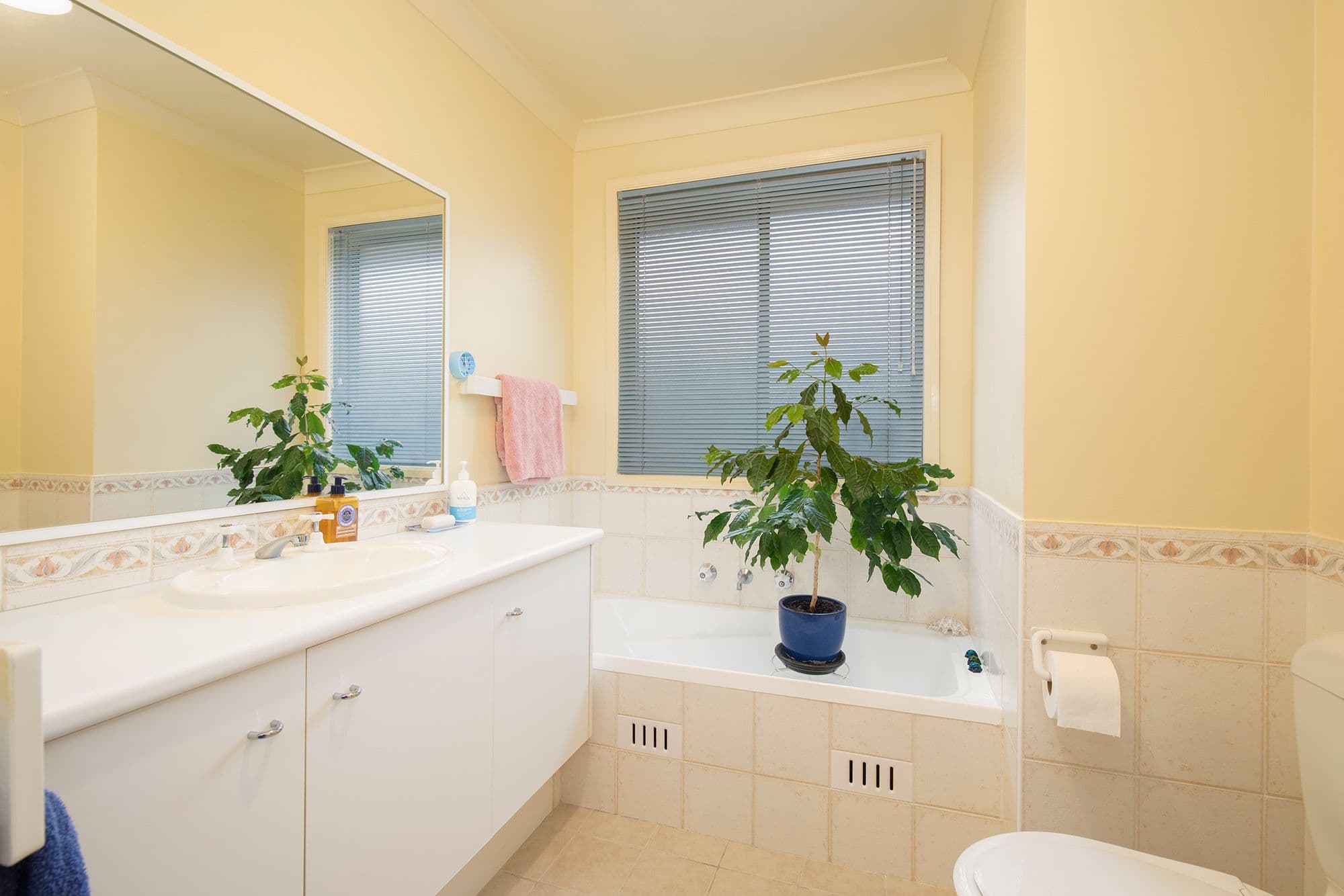 1 Robertson Street, Carrington NSW 2294, Carrington - Thumbnail 3