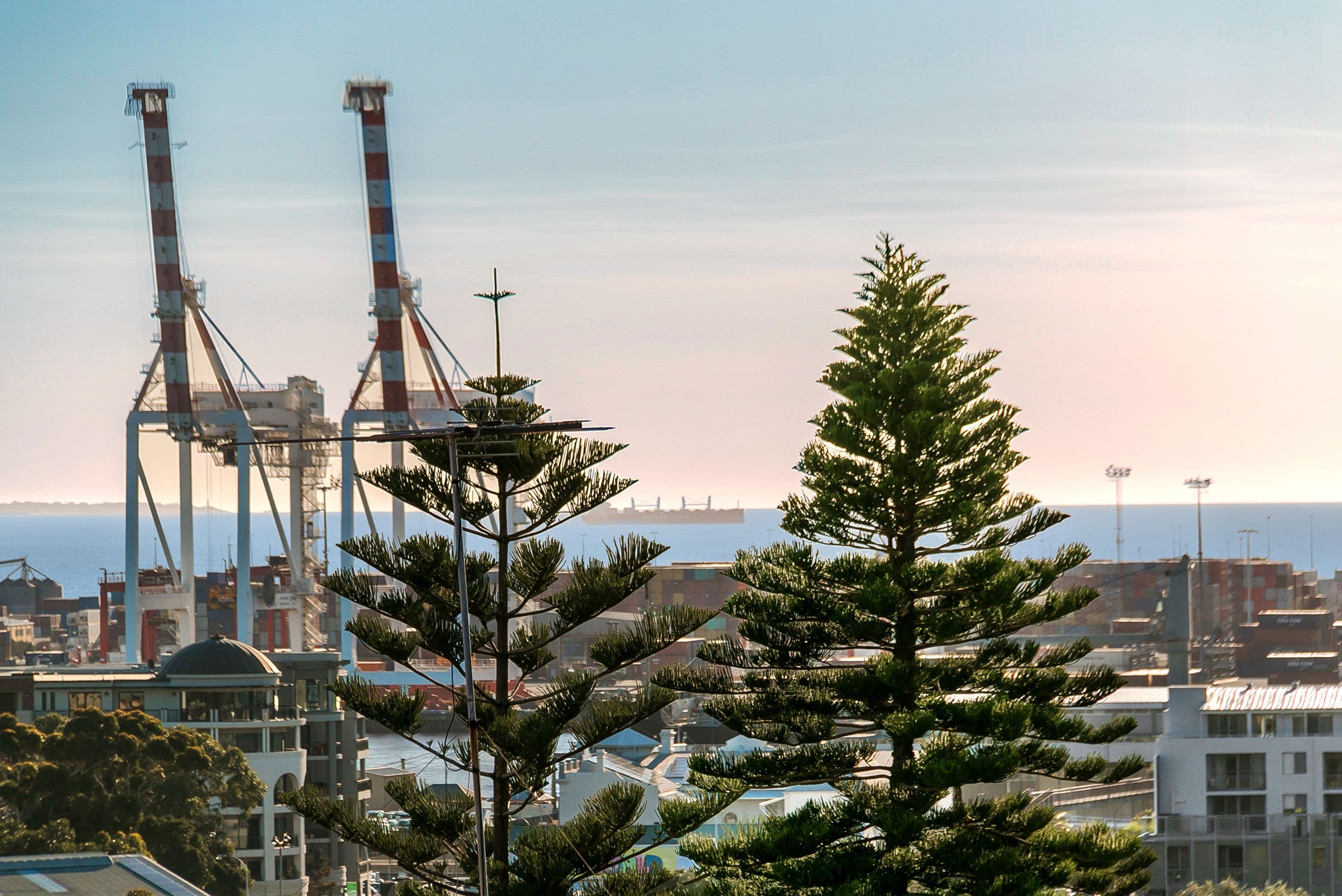 247 High Street, Fremantle WA 6160, Fremantle - Thumbnail 4