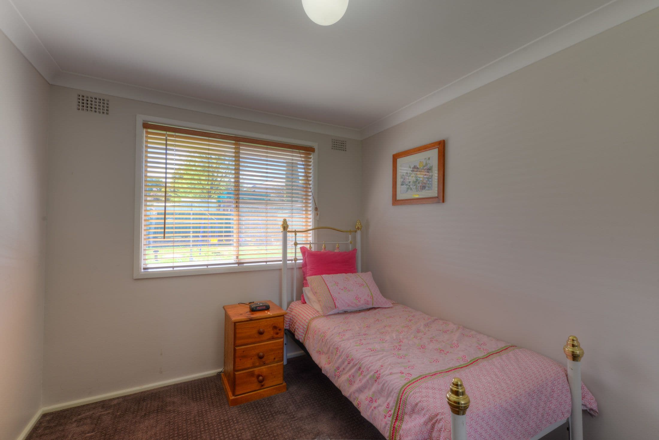 12 Carthage Street, TAMWORTH NSW 2340, North Tamworth - Thumbnail 8