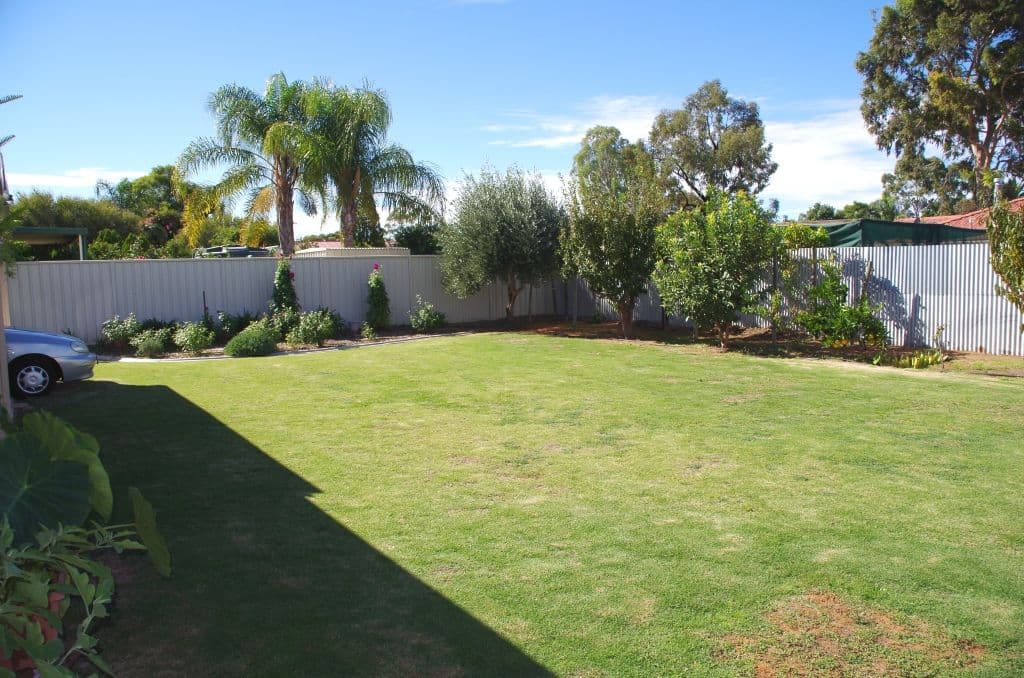 33 Korinthos Street, RENMARK SA 5341, Renmark - Thumbnail 8