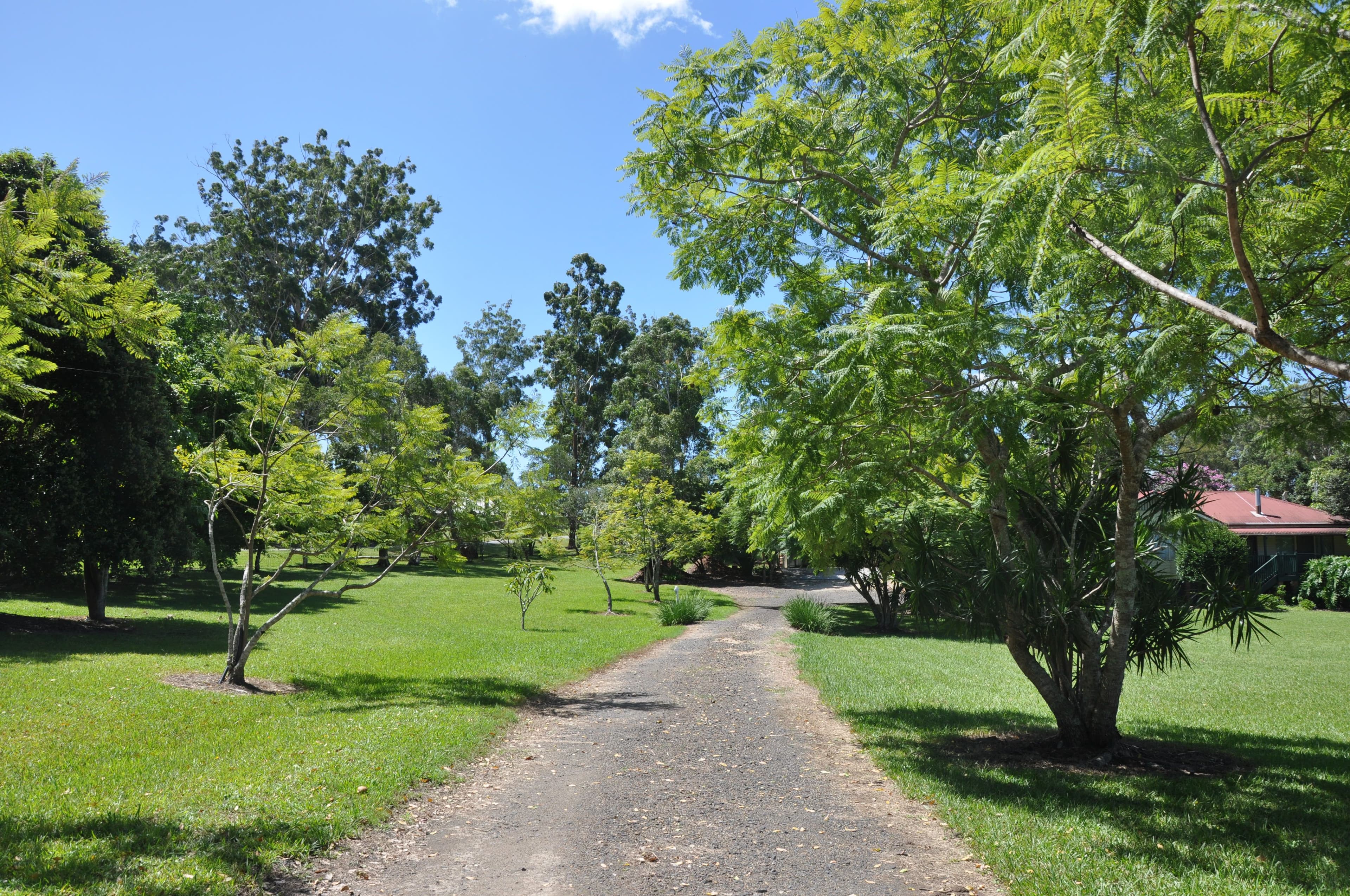 120 Everingham Lane, Frederickton NSW 2440, Frederickton - Thumbnail 3
