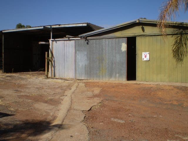 25 Croke Street, NORTHAM WA 6401, Northam - Thumbnail 7