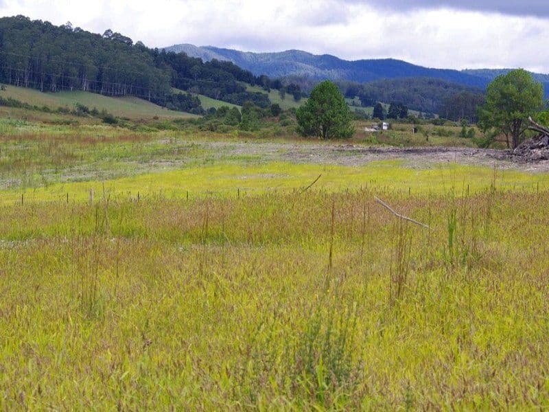 Lot 5 Cavanagh Road, Lowanna NSW 2450, Lowanna - Thumbnail 5