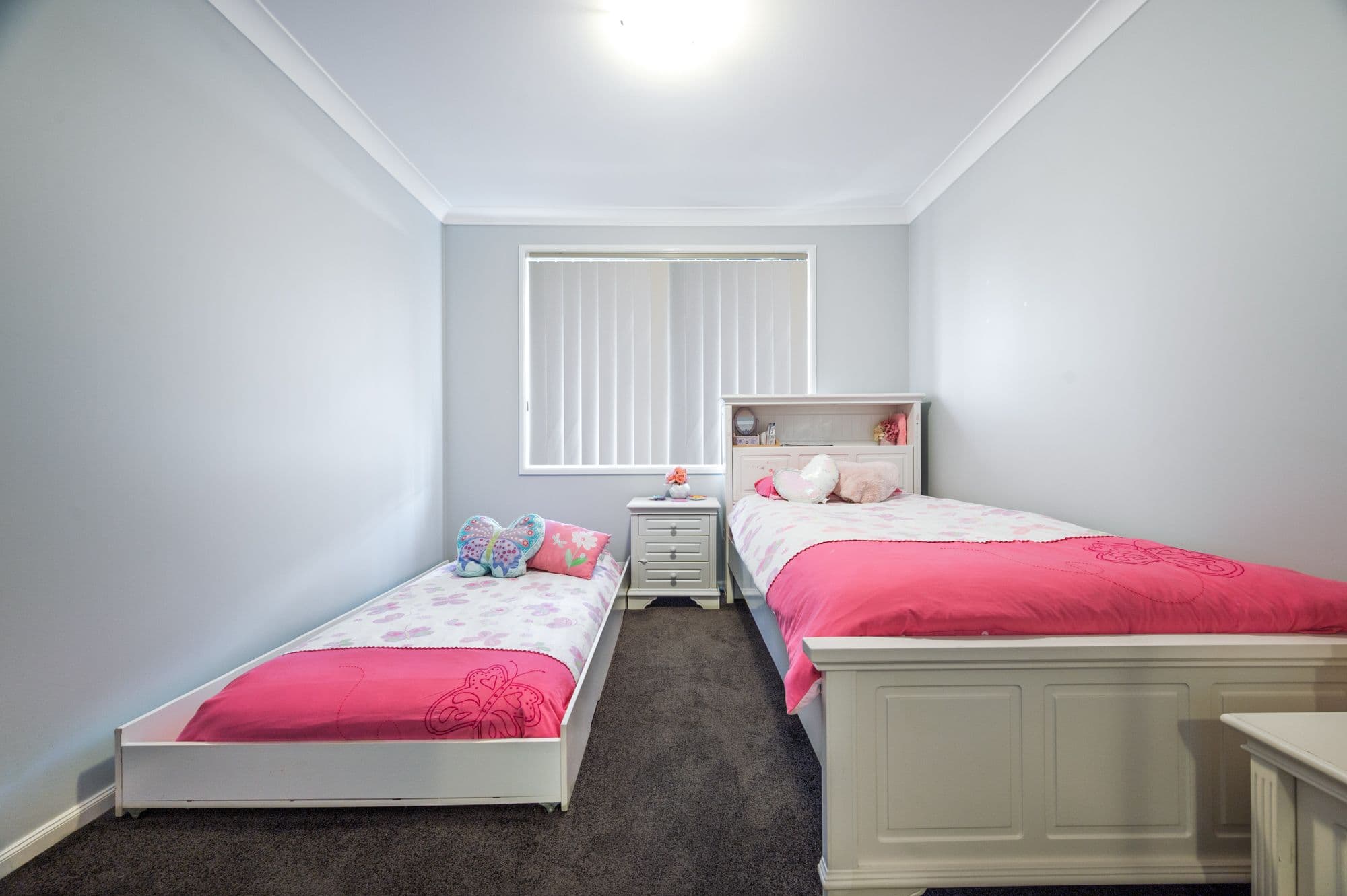15 Snowy Avenue, Minto NSW 2566, Minto - Thumbnail 7
