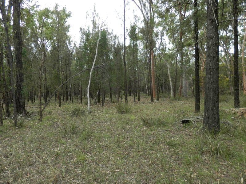 17 Ash Court, WATTLE RIDGE QLD 4357, Wattle Ridge - Thumbnail 3