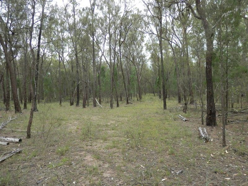 17 Ash Court, WATTLE RIDGE QLD 4357, Wattle Ridge - Thumbnail 7