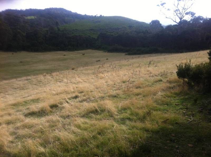 Lot 1 Muskvale Road, GEORGE TOWN TAS 7253, George Town - Image 1