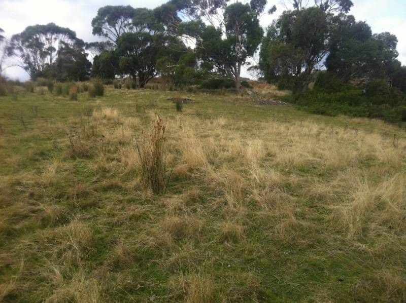 Lot 1 Muskvale Road, GEORGE TOWN TAS 7253, George Town - Thumbnail 2
