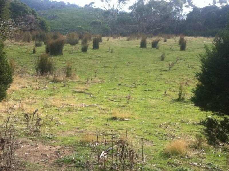 Lot 1 Muskvale Road, GEORGE TOWN TAS 7253, George Town - Thumbnail 6