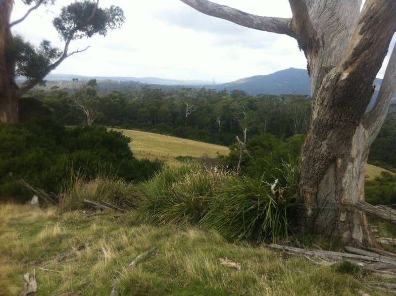 Lot 1 Muskvale Road, GEORGE TOWN TAS 7253, George Town - Thumbnail 8
