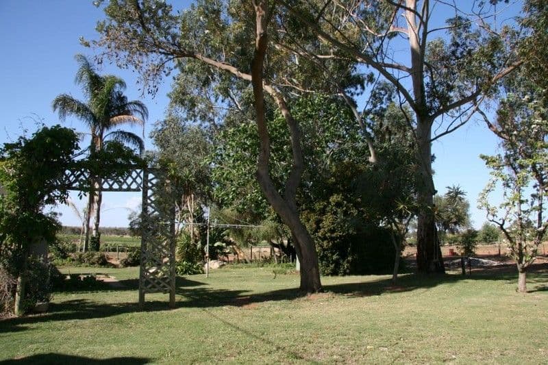 Lot 2 The Avenue, WAIKERIE SA 5330, Waikerie - Thumbnail 8