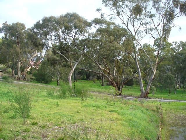 39 Farrell Flat, CLARE SA 5453, Clare - Thumbnail 3