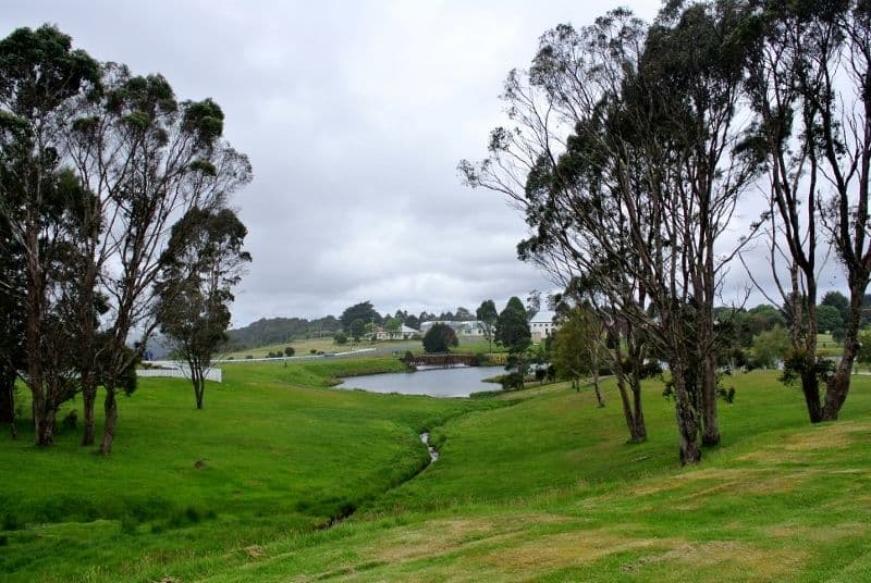 13 Duncanson Street, WARATAH TAS 7321, Waratah - Thumbnail 4