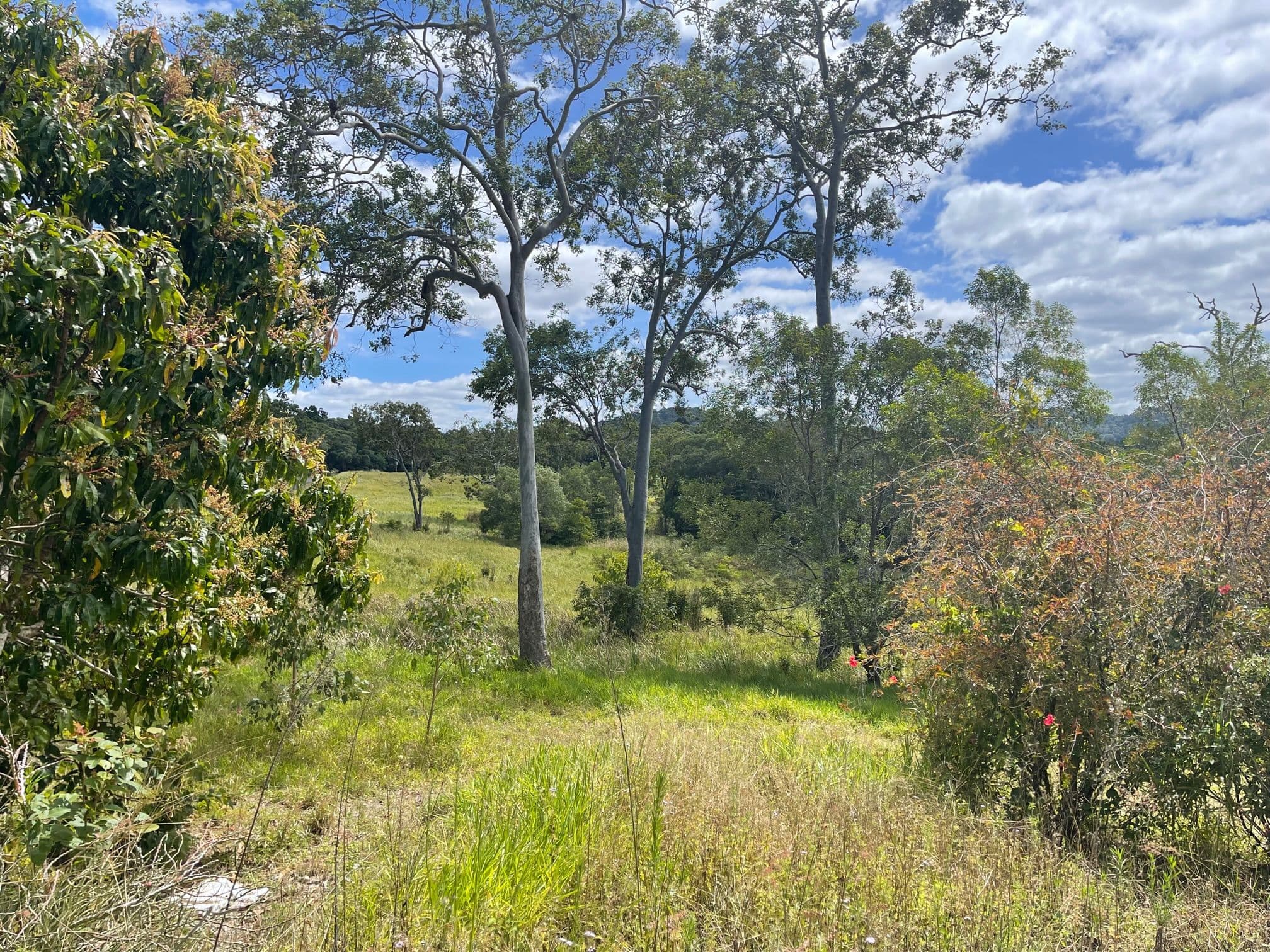397 Speewah Road, Speewah QLD 4881, Speewah - Image 1