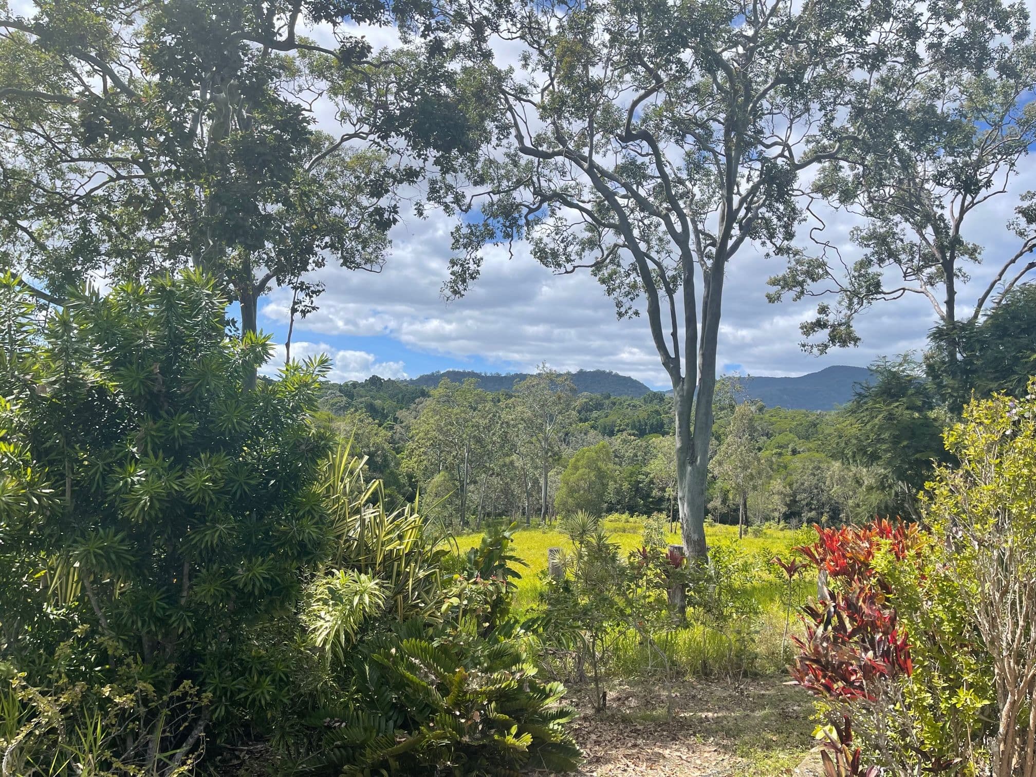 397 Speewah Road, Speewah QLD 4881, Speewah - Thumbnail 5