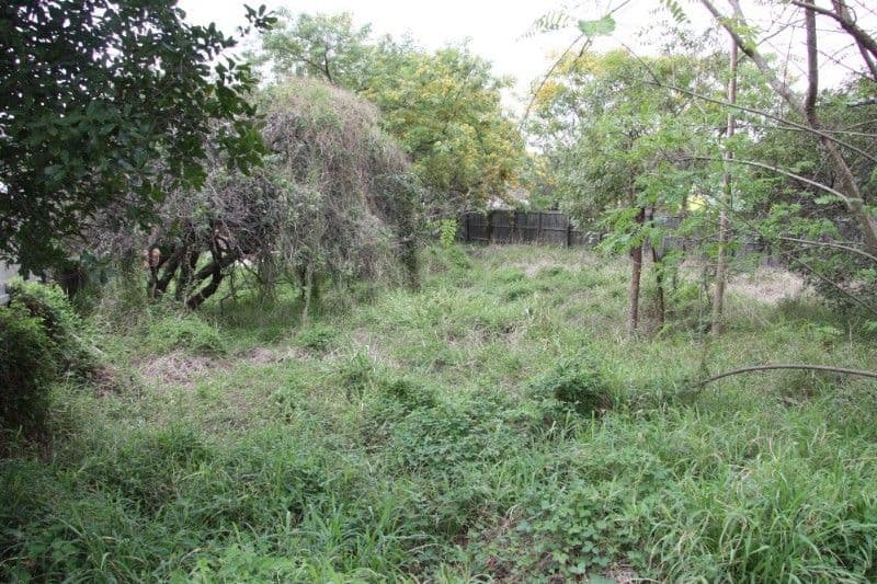 30 Laelana Avenue, Budgewoi, NSW, 2262, Budgewoi - Thumbnail 2