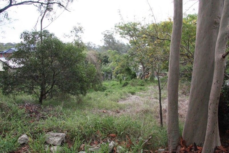30 Laelana Avenue, Budgewoi, NSW, 2262, Budgewoi - Thumbnail 4