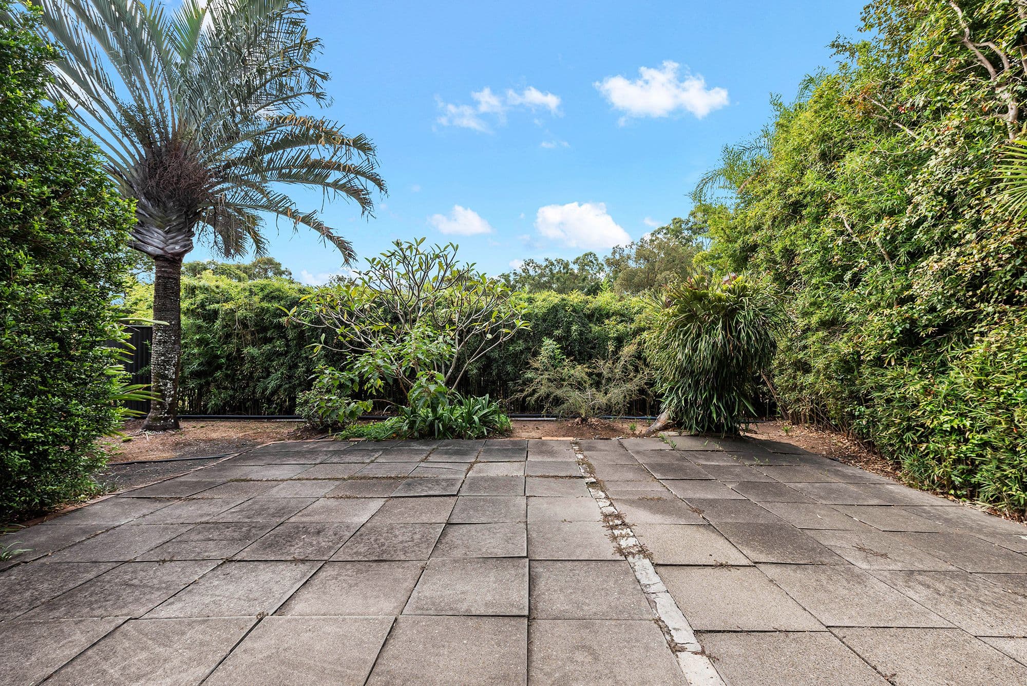 58 Meiers Road, Indooroopilly QLD 4068, Indooroopilly - Thumbnail 7