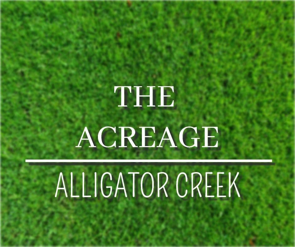 Lot 25 The Acreage, Alligator Creek QLD 4816, Alligator Creek - Image 1