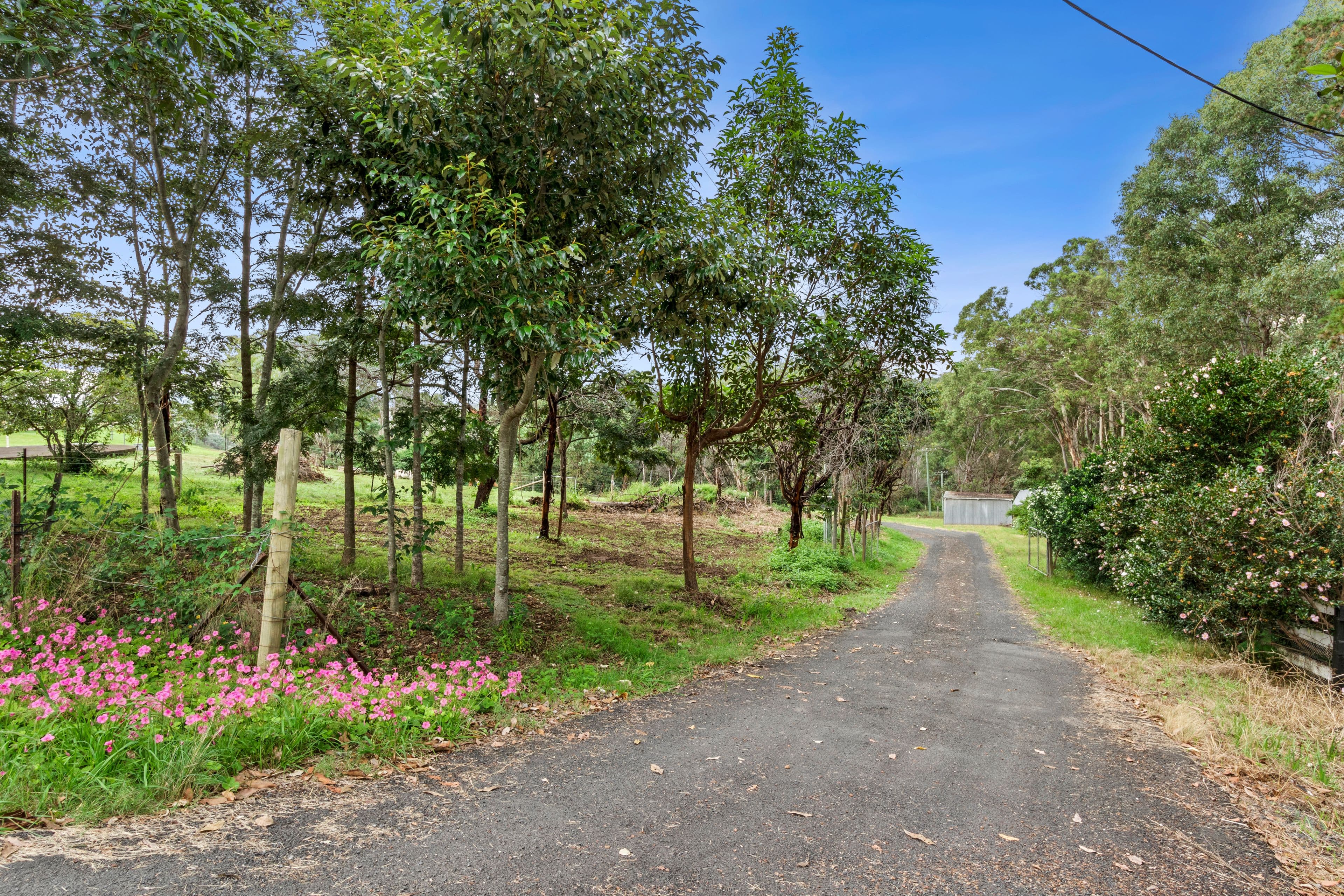 589 Grose Vale Road, Grose Vale NSW 2753, Grose Vale - Image 1